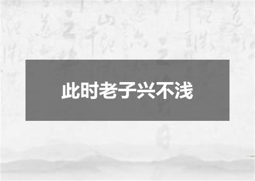 此时老子兴不浅
