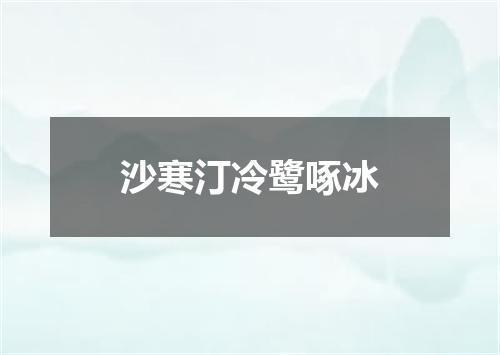 沙寒汀冷鹭啄冰