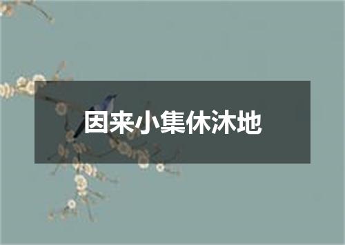 因来小集休沐地