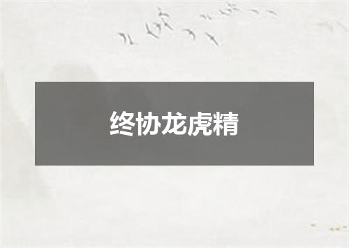 终协龙虎精