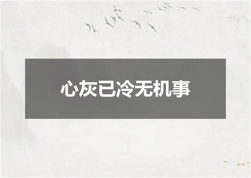 心灰已冷无机事
