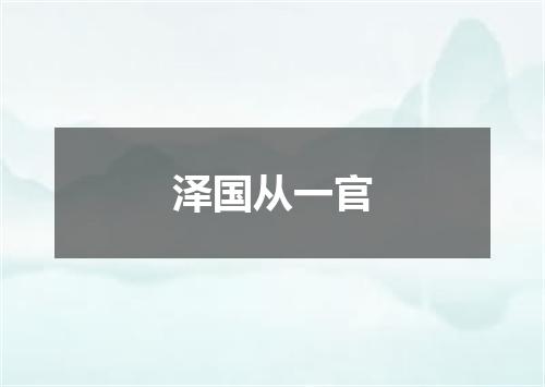 泽国从一官