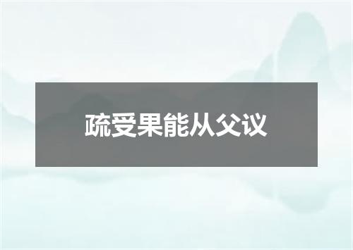 疏受果能从父议