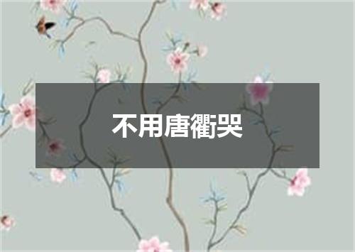 不用唐衢哭