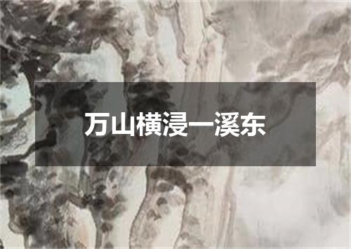 万山横浸一溪东