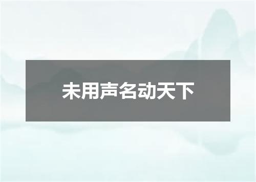 未用声名动天下