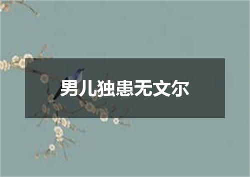 男儿独患无文尔