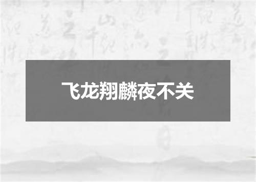 飞龙翔麟夜不关