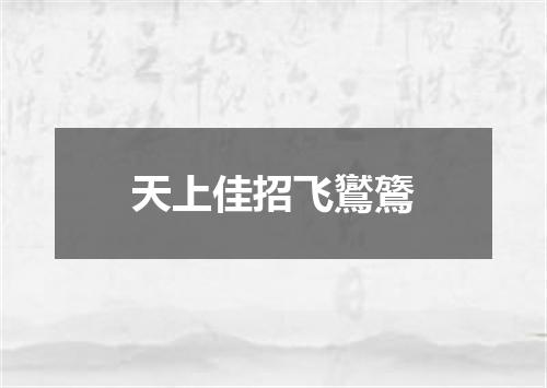 天上佳招飞鸑鷟