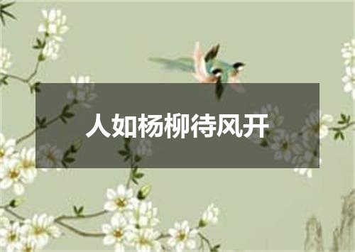 人如杨柳待风开