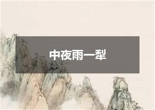 中夜雨一犁