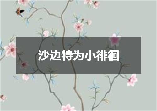 沙边特为小徘徊