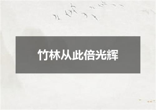 竹林从此倍光辉