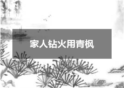 家人钻火用青枫