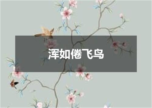 浑如倦飞鸟