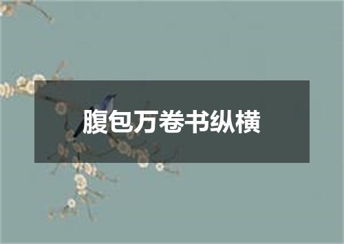腹包万卷书纵横