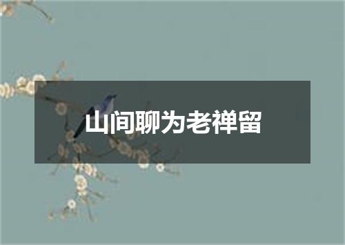 山间聊为老禅留