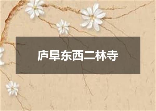 庐阜东西二林寺