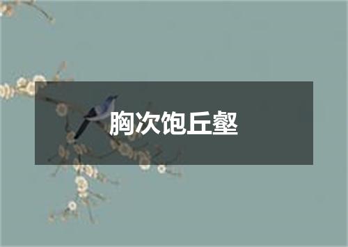 胸次饱丘壑