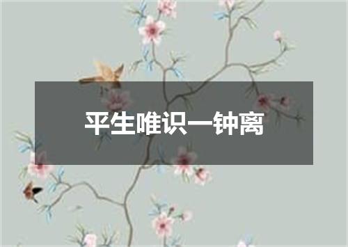 平生唯识一钟离