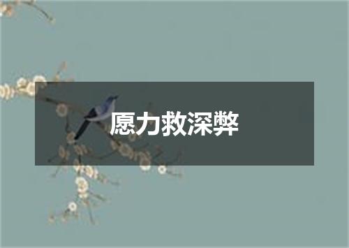 愿力救深弊
