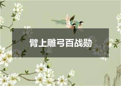 臂上雕弓百战勋