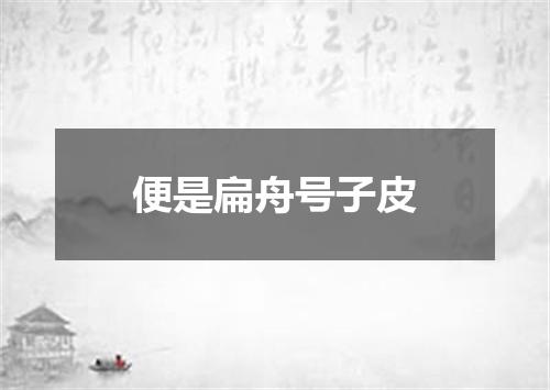 便是扁舟号子皮