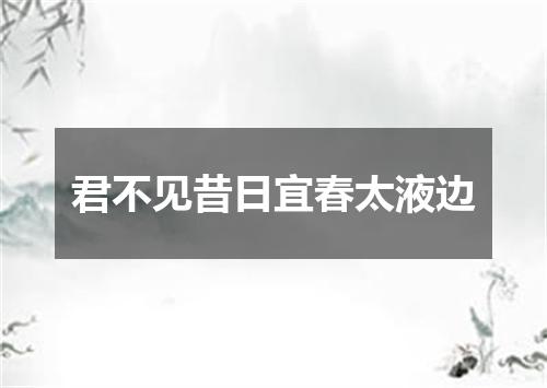 君不见昔日宜春太液边