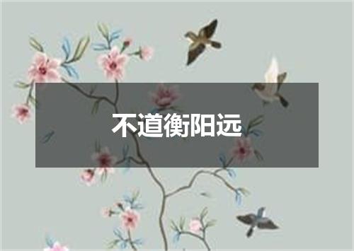 不道衡阳远