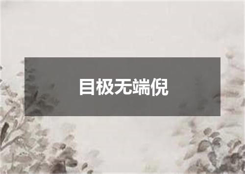 目极无端倪