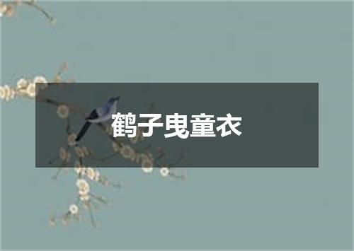 鹤子曳童衣
