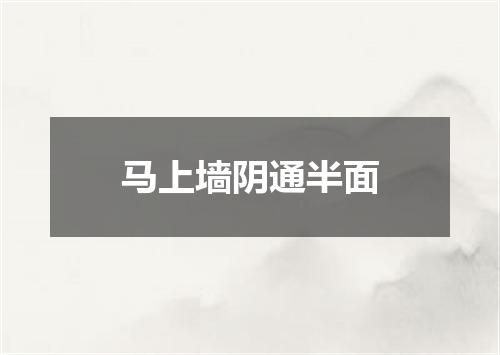 马上墙阴通半面