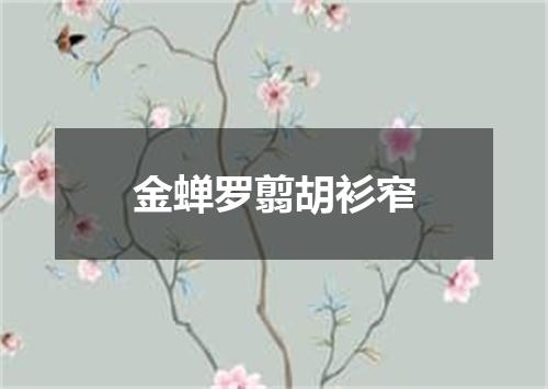 金蝉罗翦胡衫窄