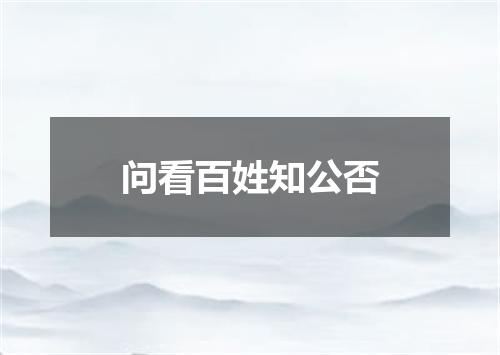 问看百姓知公否
