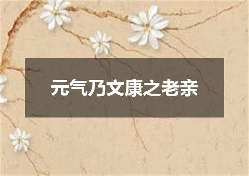 元气乃文康之老亲
