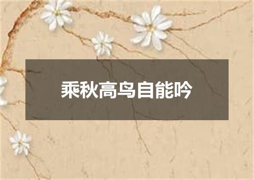 乘秋高鸟自能吟
