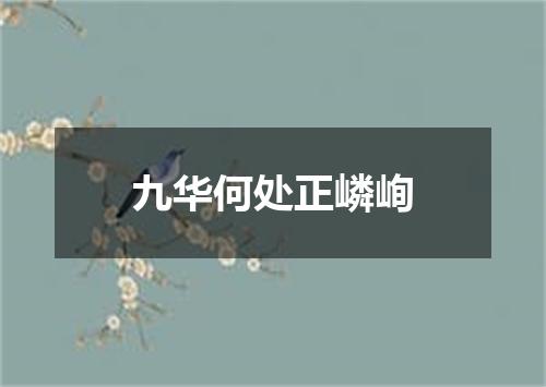 九华何处正嶙峋