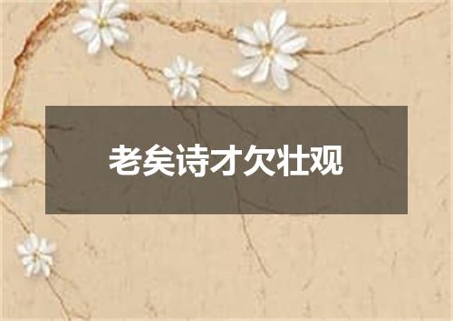 老矣诗才欠壮观