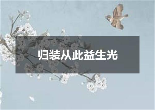 归装从此益生光
