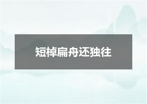 短棹扁舟还独往
