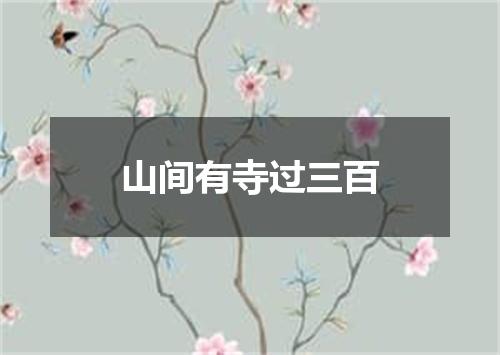 山间有寺过三百