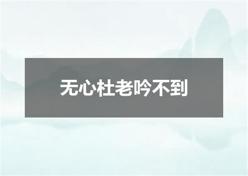 无心杜老吟不到