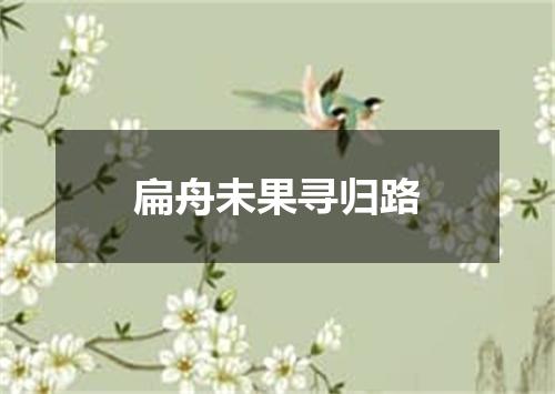 扁舟未果寻归路