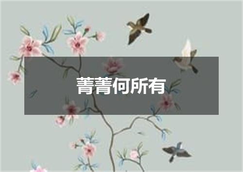 菁菁何所有