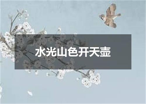 水光山色开天壶