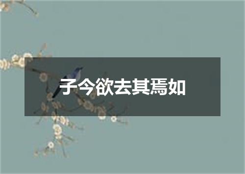 子今欲去其焉如