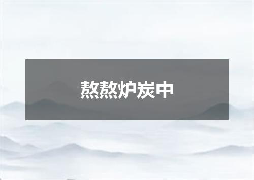 熬熬炉炭中
