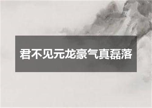 君不见元龙豪气真磊落