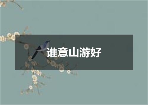 谁意山游好