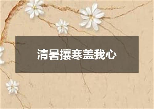 清暑攘寒盖我心